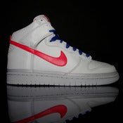 Image of DUNK HI NYLON PREMIUM (PLATINUM)