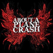 Image of About a plane crash - Demo