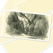 Image of The sketch artist