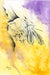 Image of In Dreams, He Flies