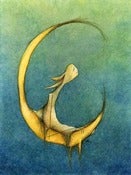Image of Unwilling To Shine