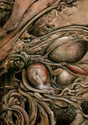 Image of 12x17 FROM INSIDE PRINT "Skin"