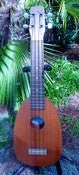 Image of Kiwaya KSOP Thinbody Pineapple