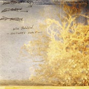 Image of Will Johnson: Vultures Await / MP3 Download