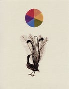 Image of The Amazing Lyrebird