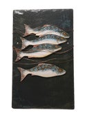 Image of Shoal o' fish