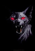 Image of Vampurrr Pussy