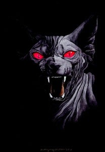 Image of Vampurrr Pussy