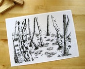 Image of Winter Trees - A4 Print