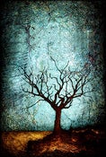 Image of Magnet - Horizon Series - Dormant Tree 2