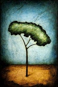 Image of Magnet - Horizon Series - Peace Tree 2