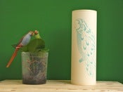 Image of Perroquet Bleu Turquoise