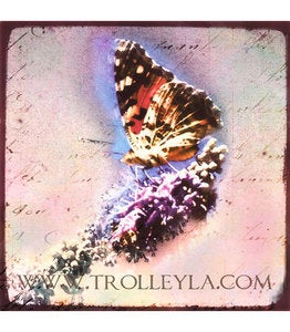 Image of ♥BUTTERFLY IN PINK♥