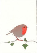 Image of Robin