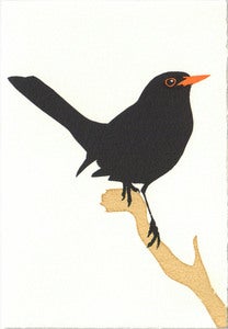 Image of Blackbird Card