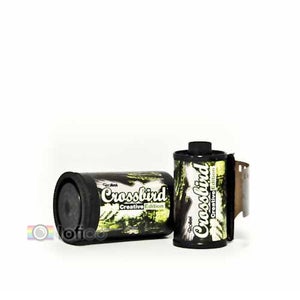 Image of Rollei Creative Edition Crossbird - Color 35mm Film