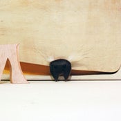 Image of Tiny Fangless Magnet