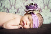 Image of ***Sugar Plum Rose***  