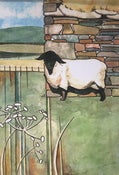 Image of 'Sheep' - Limited edition mounted print