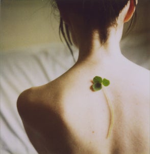 Image of Print - Trefoil