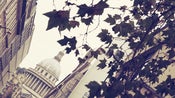 Image of Pantheon - I