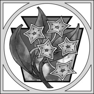 Image of HDC 009 - P.A.M.L.