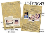 Image of "Butter Cream Damask" 5x7 Folded Session Info Brochure - Templates for Photographers - NEW