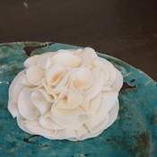 Image of petal pusher - cream 