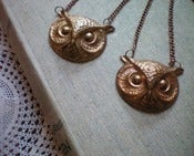 Image of Hoot