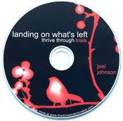 Image of Landing on What's Left CD