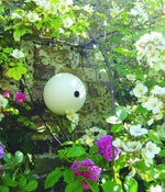 Image of Birdball