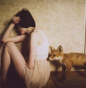 Image of Print - Fox