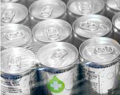 Image of Lime-12 pack