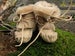 Image of Handmade Shearling Moccasins