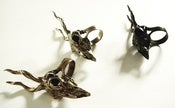 Image of  Gazelle skull ring