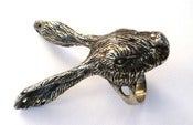 Image of The Hare