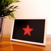 Image of Sea star - 250gr - Mini print