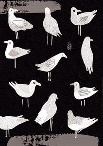 Image of Seagulls