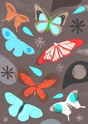 Image of Butterflies