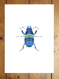 Image of Entomology Study C by The Lindstrom Effect 