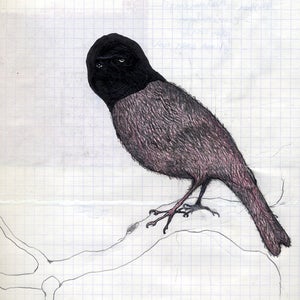 Image of Kaboom Karavan - Barra Barra (CD)