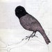 Image of Kaboom Karavan - Barra Barra (CD)