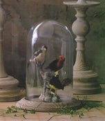 Image of Museum Glass Dome w/Pine Base