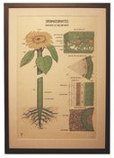 Image of Chromolithograph-Movement of Water