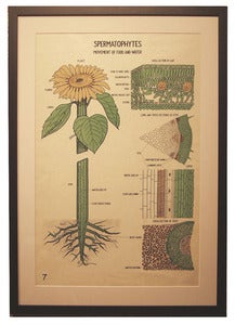 Image of Chromolithograph-Movement of Water