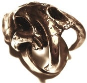 Image of Sabertooth skull ring