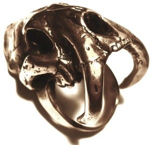 Image of Sabertooth skull ring