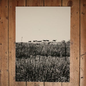 Image of VALERIE PHILLIPS FIELD SCREEN PRINT