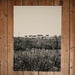 Image of VALERIE PHILLIPS FIELD SCREEN PRINT