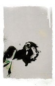 Image of Kevin Garnett - Print
